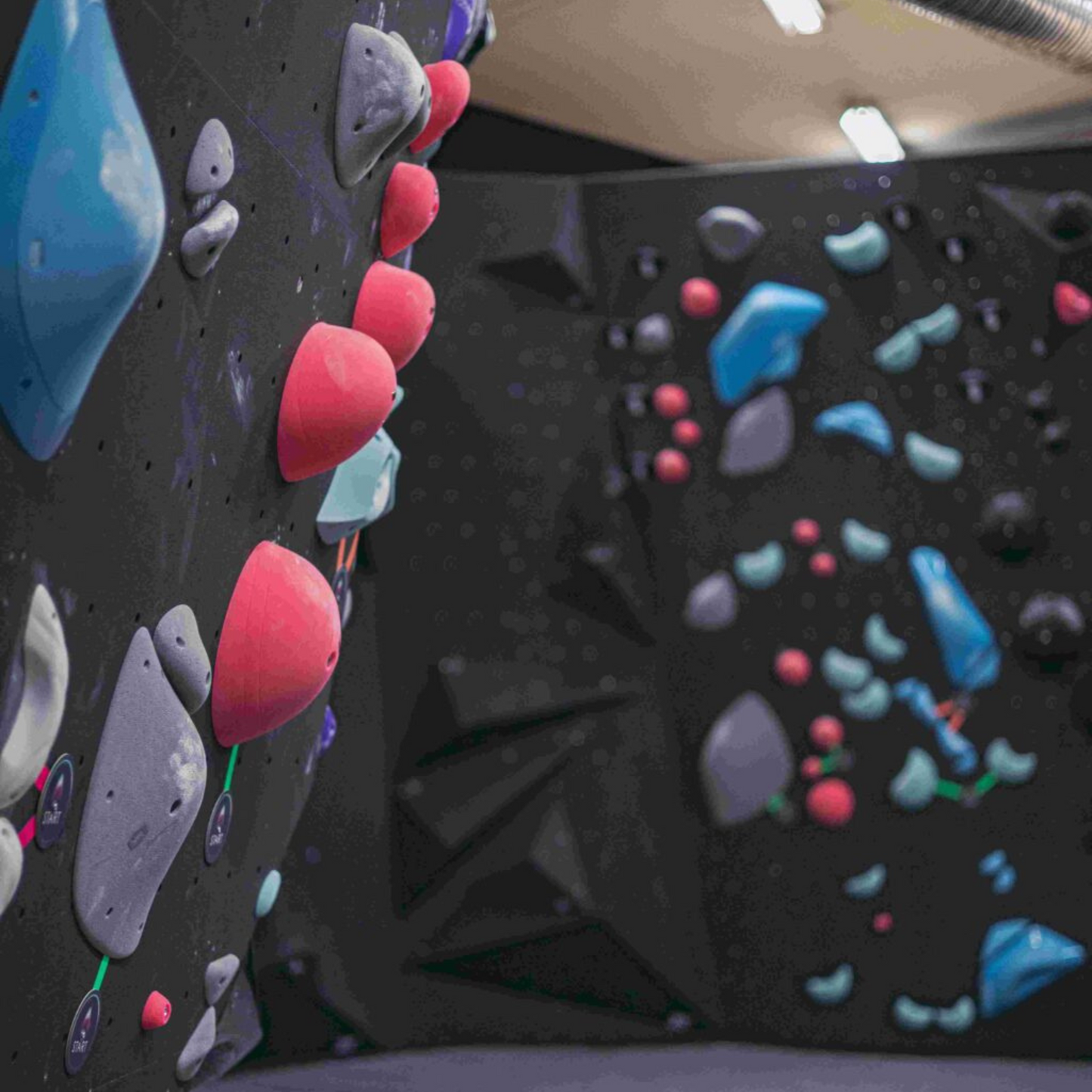 Boulderwand mit Virgin Grip Base Lines Lead Set