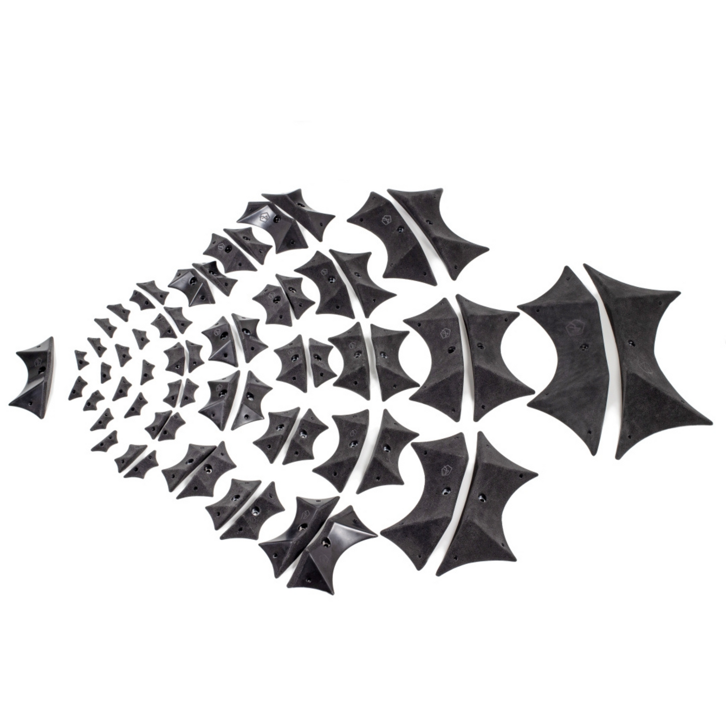 Polytalon Bats Complete mit Dualtex Draufsicht