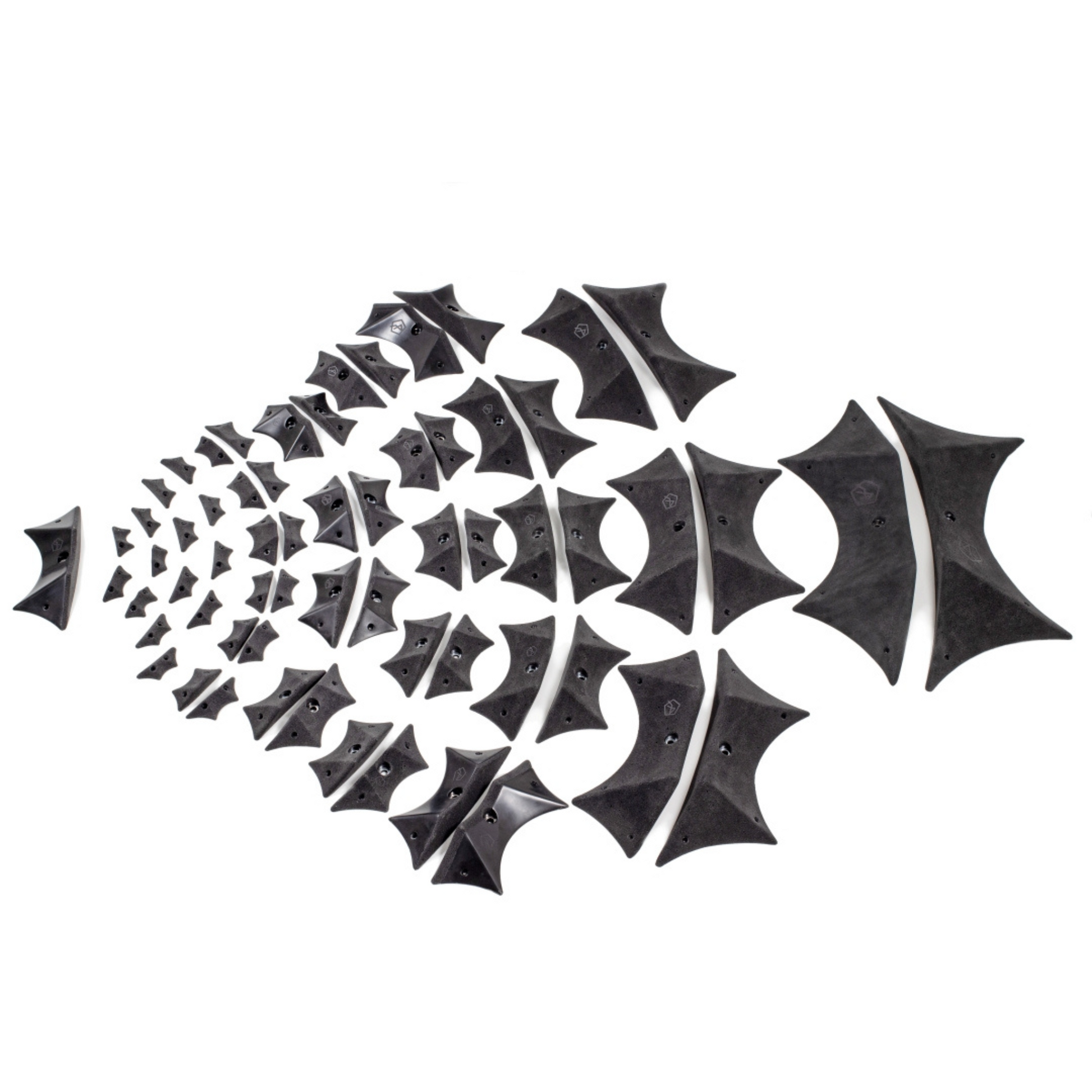 Polytalon Bats Complete mit Dualtex Draufsicht