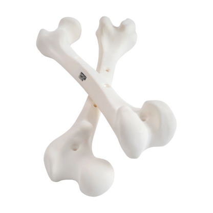 Virgin Grip Bones Lead Set Knochen